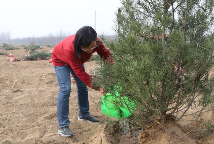縣四大家領導義務植樹再添新綠