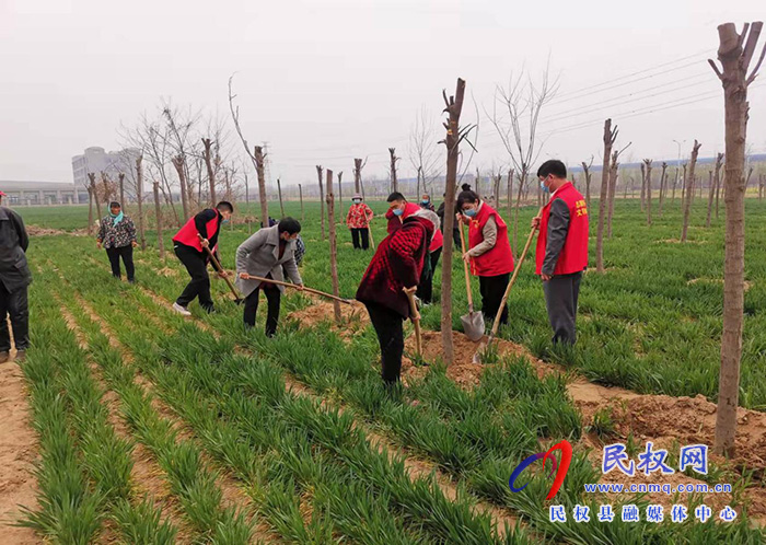 春暖三月學(xué)雷鋒，植樹護(hù)綠我先行