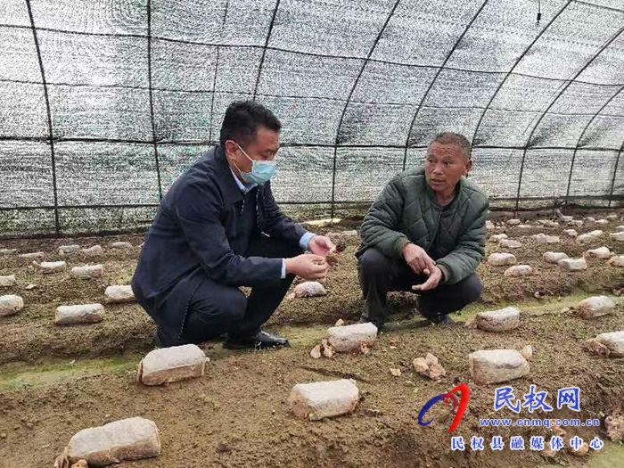 縣高新區(qū)管委會(huì)副主任張玉棟到龍?zhí)伶?zhèn)督導(dǎo)疫情防控、“三零創(chuàng)建”等重點(diǎn)工作