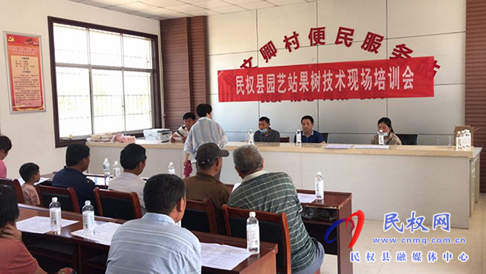 園藝站：重視果園夏管，組織技術(shù)人員進(jìn)園入戶進(jìn)行指導(dǎo)