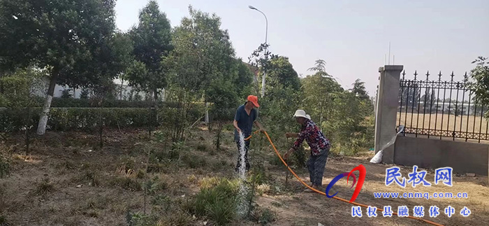 南華街道辦事處加強綠化苗木管護工作