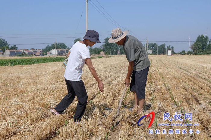 民權縣人和鎮(zhèn)迅速掀起抗旱搶種保苗高潮