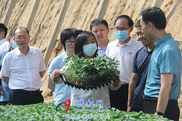 省高院副院長(zhǎng)李志增到野崗鎮(zhèn)調(diào)研指導(dǎo)鞏固脫貧攻堅(jiān)成果與鄉(xiāng)村振興有效銜接工作