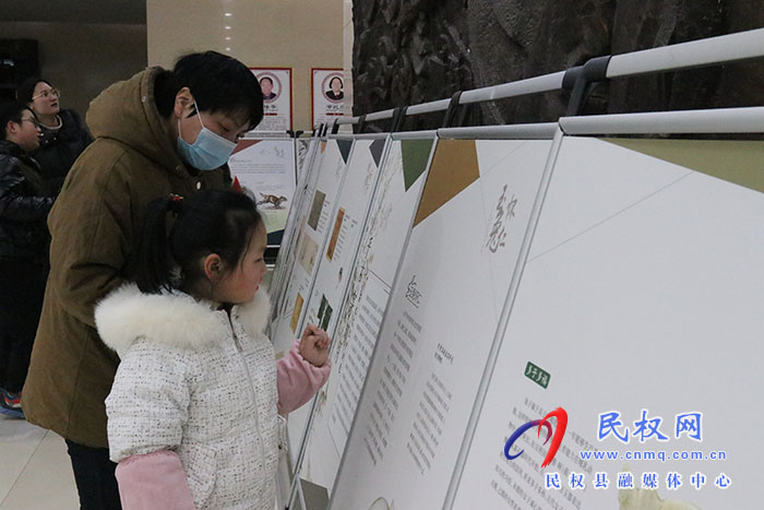 2023年民權(quán)縣“大展宏兔——癸卯（兔年）新春生肖文物圖片聯(lián)展”活動