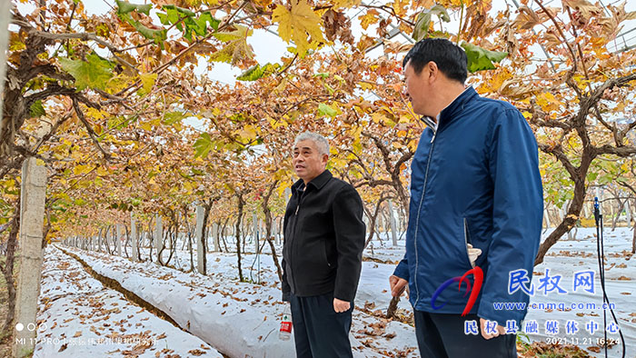 小菌菇 大能量——林下種植菌菇，助推鄉(xiāng)村振興