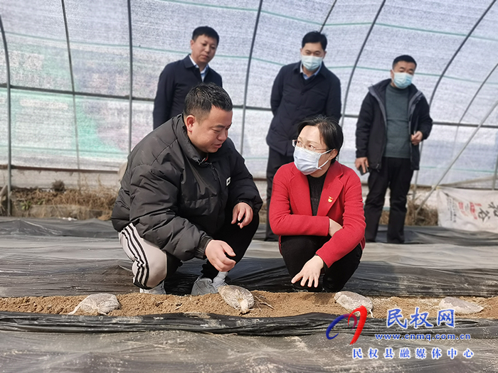 縣委副書記、縣長王靜嫻調(diào)研農(nóng)業(yè)產(chǎn)業(yè)化工作
