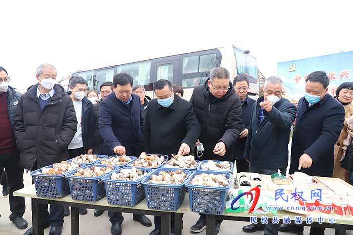 河南省第一次食用菌種質資源現(xiàn)場觀摩暨普查培訓班在民舉行