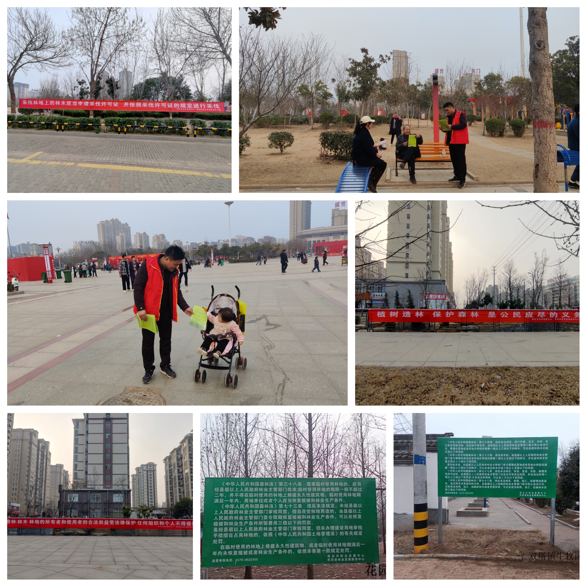 民權(quán)縣林業(yè)發(fā)展服務(wù)中心開(kāi)展《中華人民共和國(guó)森林法》宣傳活動(dòng)