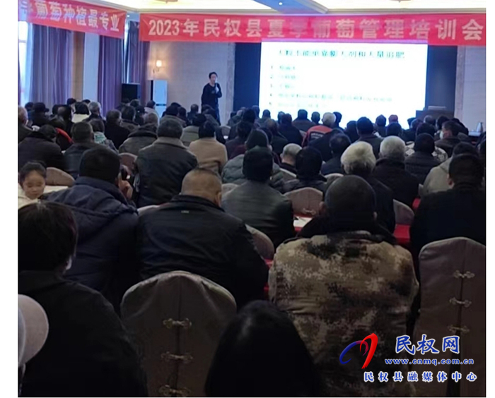 民權(quán)縣園藝站召開2023年大型葡萄夏季管理培訓(xùn)會