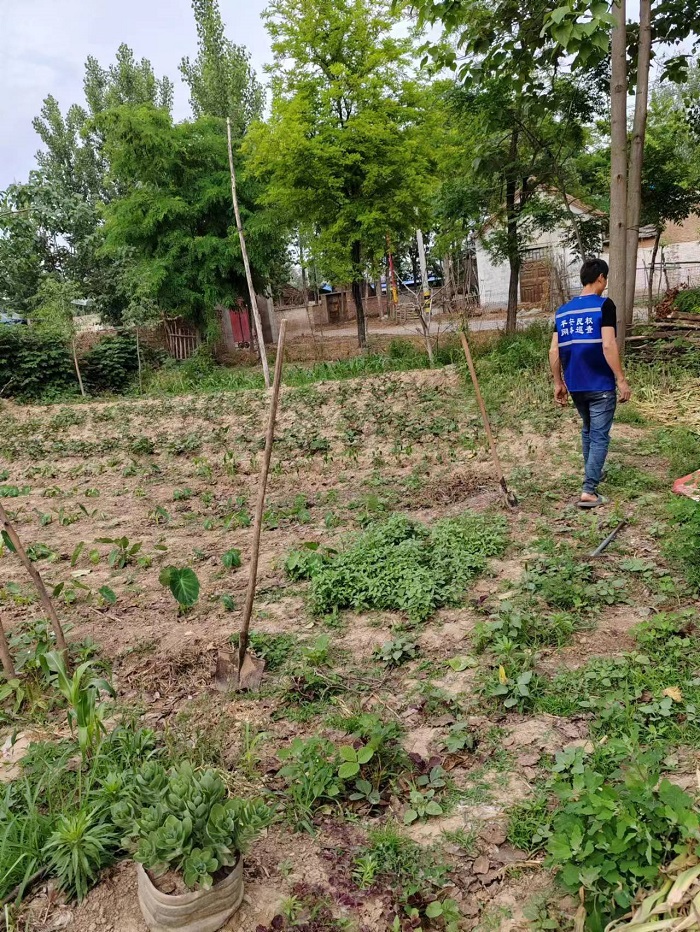 禁種鏟毒在行動，防毒禁毒護家園