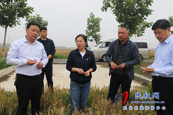 縣委書記、縣長王靜嫻查看小麥長勢調(diào)研“三夏”準(zhǔn)備工作