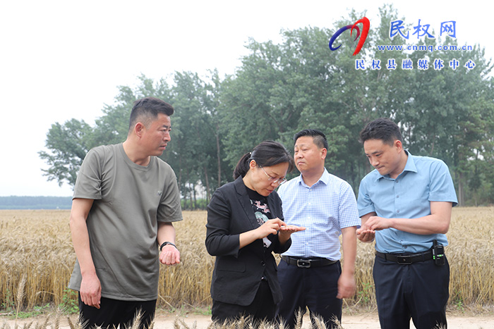 縣委書(shū)記、縣長(zhǎng)王靜嫻調(diào)研指導(dǎo)“三夏”生產(chǎn)工作