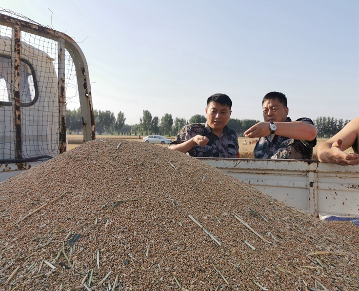 莊子鎮(zhèn)：慰問(wèn)跨區(qū)作業(yè)機(jī)手，真情服務(wù)“三夏”農(nóng)忙