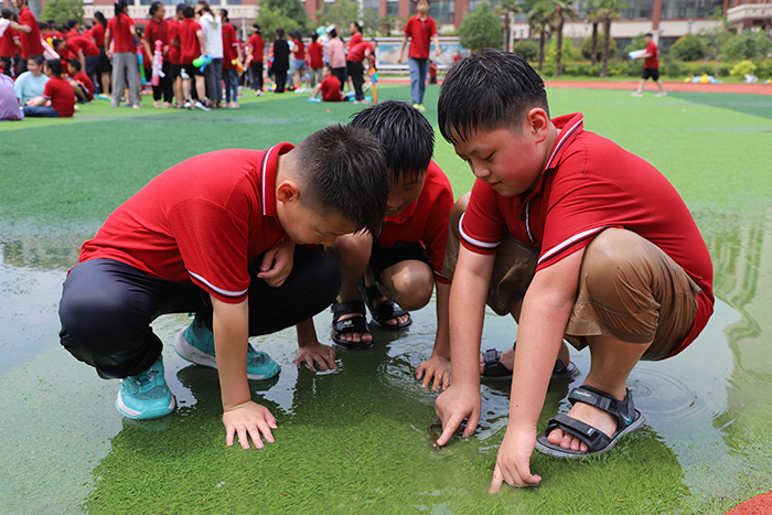 “悠悠艾香溢佳節(jié) 綿綿粽情潤端午”——民權(quán)求實學(xué)校端午節(jié)主題教育活動