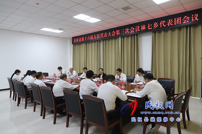 縣委書(shū)記、縣長(zhǎng)王靜嫻參加林七鄉(xiāng)代表團(tuán)審議