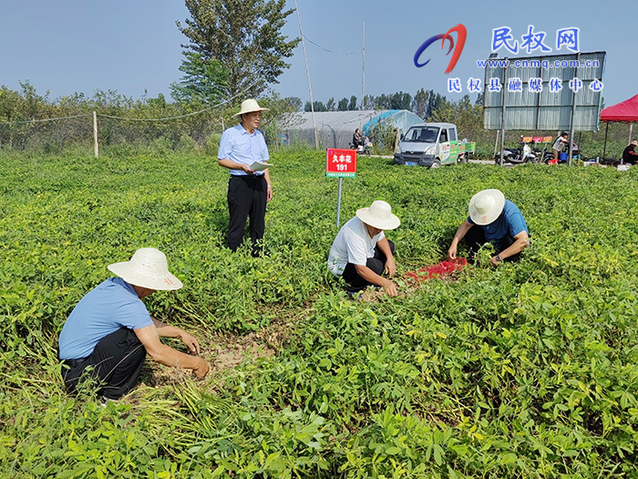 市農(nóng)業(yè)專家到我縣開(kāi)展花生實(shí)地測(cè)產(chǎn)助力農(nóng)民增產(chǎn)增收