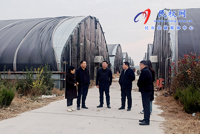 副縣長李衛(wèi)政督導調(diào)研農(nóng)業(yè)產(chǎn)業(yè)化和脫貧攻堅后評估工作