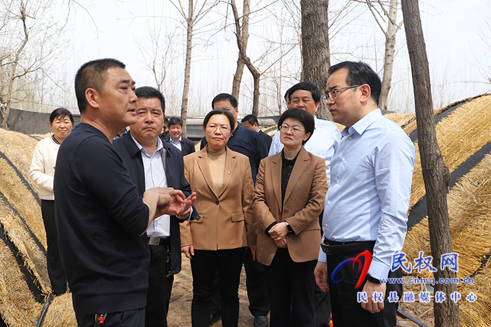 省農(nóng)業(yè)農(nóng)村廳黨組書記、廳長孫巍峰蒞民調(diào)研指導(dǎo)高標準農(nóng)田示范區(qū)建設(shè)等工作