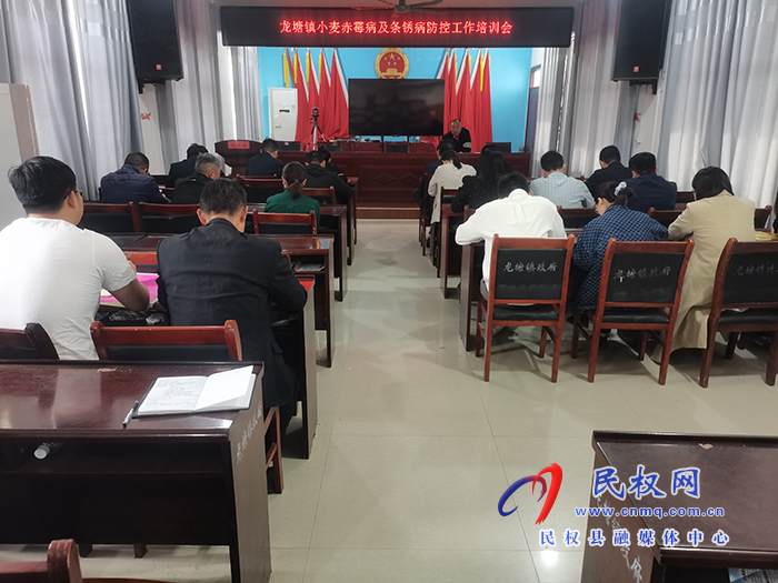 龍?zhí)伶?zhèn)：扎實做好小麥赤霉病及條銹病防控工作