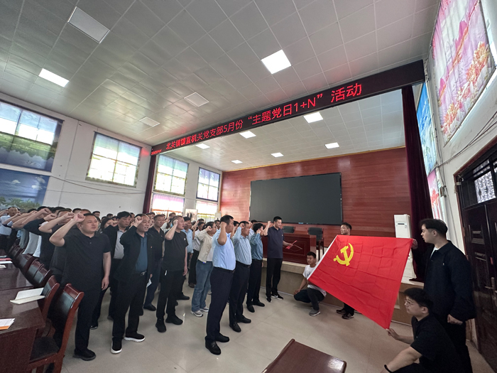 北關(guān)鎮(zhèn)鎮(zhèn)直機(jī)關(guān)黨支部開展5月份主題黨日“1+N”活動
