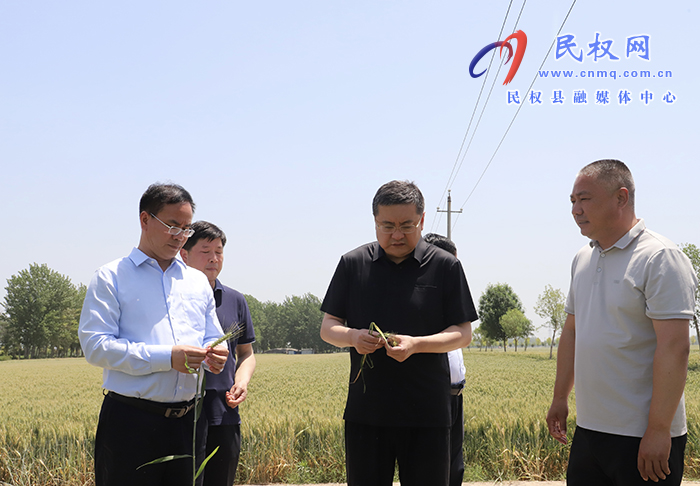 副市長高大立到民調(diào)研麥田管理及高標(biāo)準(zhǔn)農(nóng)田建設(shè)工作