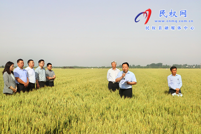 全省優(yōu)質(zhì)小麥單產(chǎn)提升暨規(guī)?；唵紊a(chǎn)現(xiàn)場(chǎng)觀摩會(huì)在民召開(kāi)