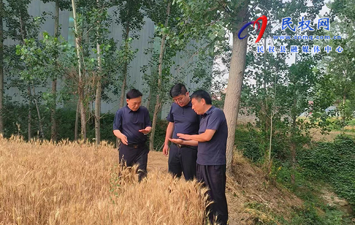 縣領(lǐng)導(dǎo)謝志強到莊子鎮(zhèn)開展“三夏”生產(chǎn)調(diào)研指導(dǎo)工作