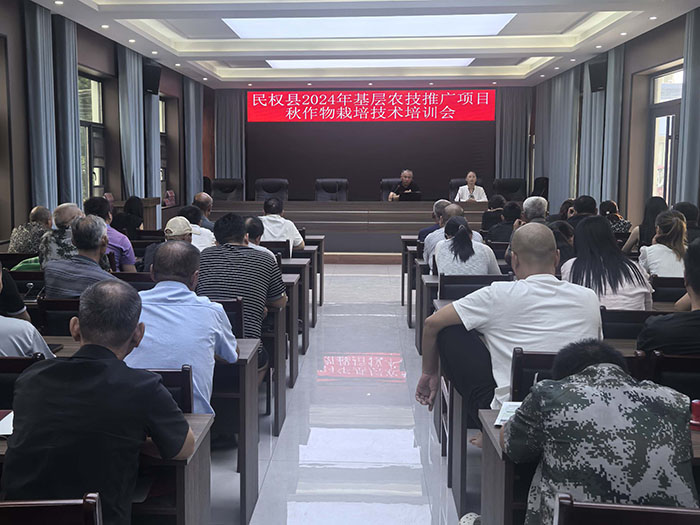 王橋鎮(zhèn)：加強(qiáng)秋作物田間管理，點(diǎn)亮“產(chǎn)業(yè)興旺星”