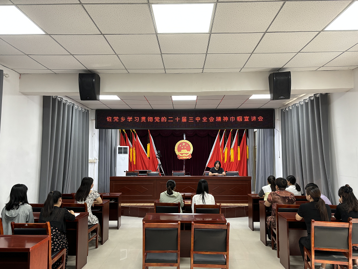 民權縣伯黨鄉(xiāng)婦聯(lián)學習貫徹黨的二十屆三中全會精神巾幗宣講會