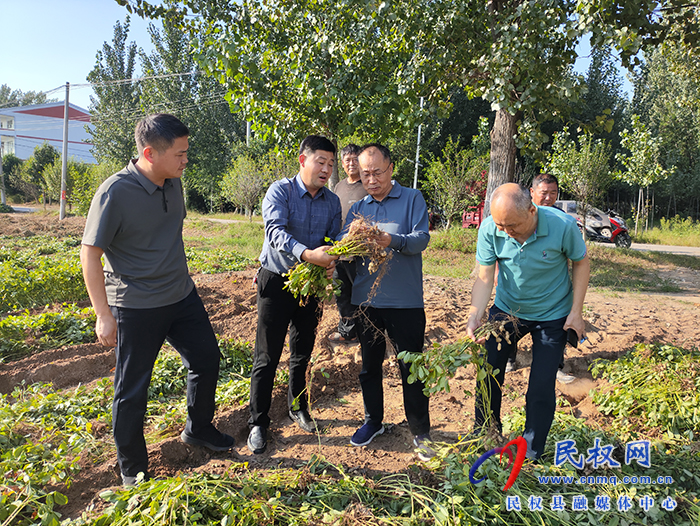 縣政協(xié)主席周明河到綠洲街道督導(dǎo)“三秋”生產(chǎn)、農(nóng)田排澇等工作