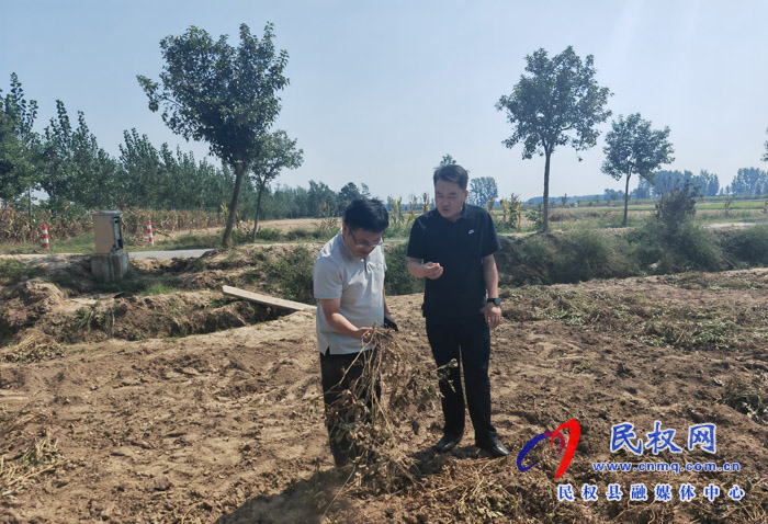 縣政協(xié)副主席韓兵到伯黨鄉(xiāng)督導(dǎo)“三秋”生產(chǎn)、村級后備力量培育儲備工作