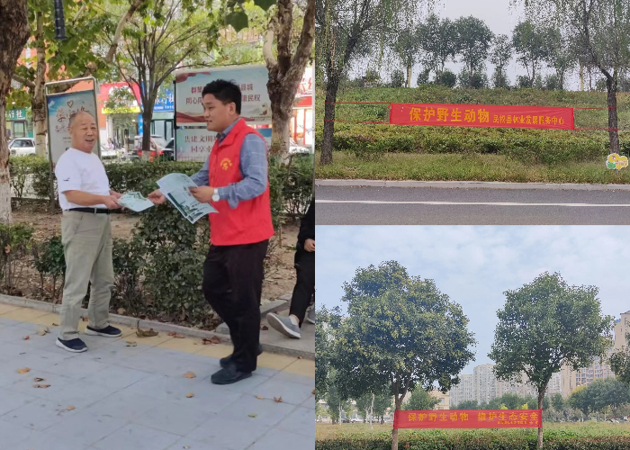 民權(quán)縣林業(yè)發(fā)展服務(wù)中心開展第三十個“野生動物保護(hù)宣傳月”活動