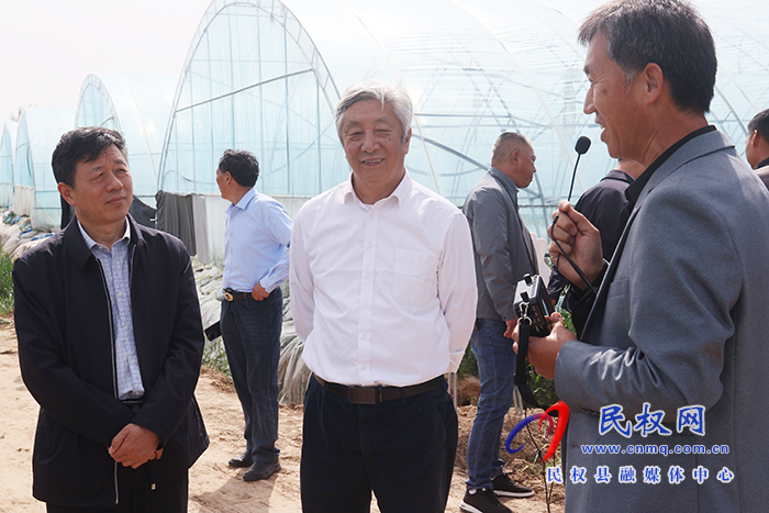 全國人大常委、中國工程院院士許為鋼到我縣院縣共建優(yōu)質(zhì)小麥產(chǎn)業(yè)化基地考察