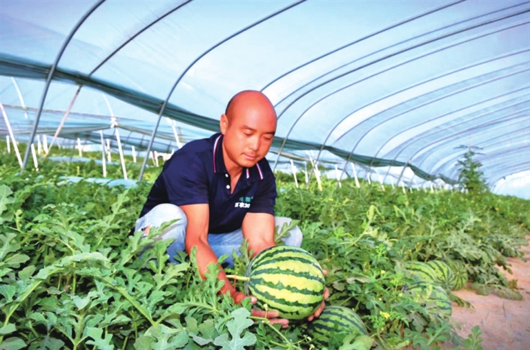 民權縣：“甜蜜經(jīng)濟”甜了百姓富了鄉(xiāng)村